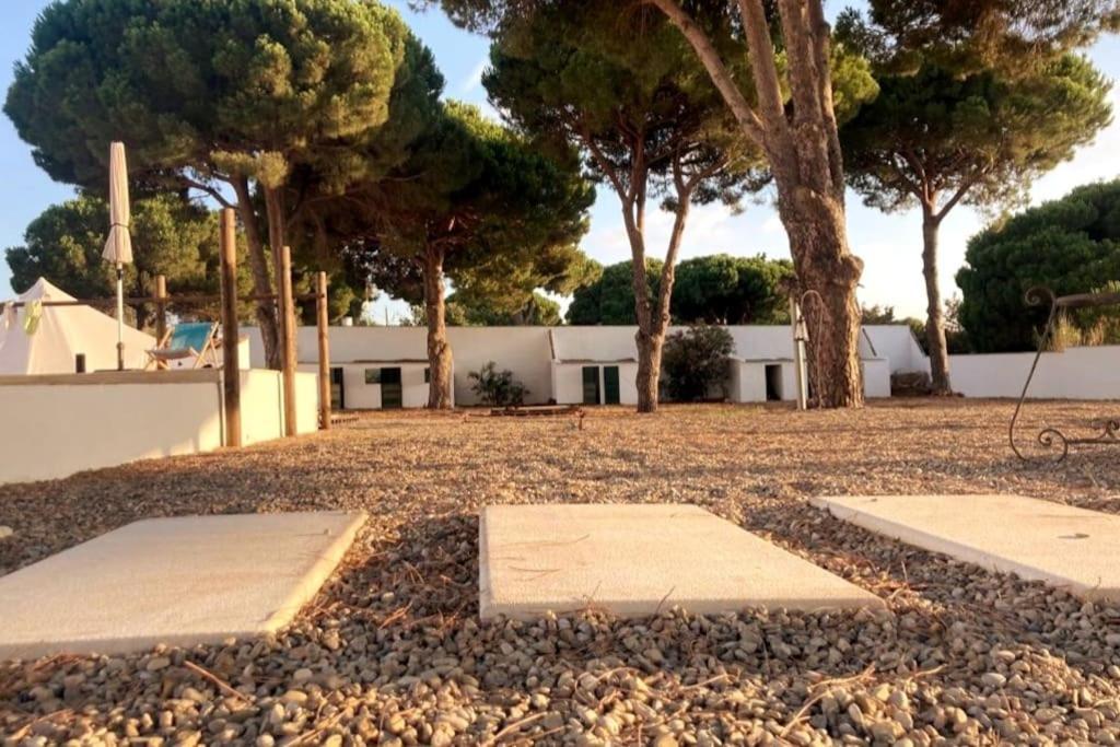 Cadiz - Buda, Acogedor Apartamento En Chiclana De La Frontera, Espana Chiclana de la Frontera Exterior foto